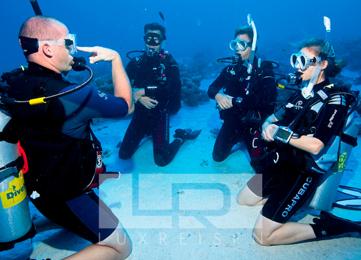 Padi Open Water diving course for beginners photo